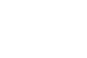 Id Icon